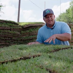 Palisades Zoysia Review