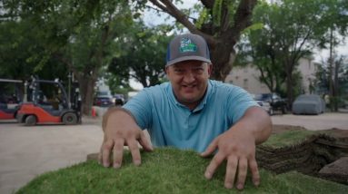 Zeon Zoysia Review
